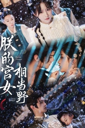 朕的宫女相当野