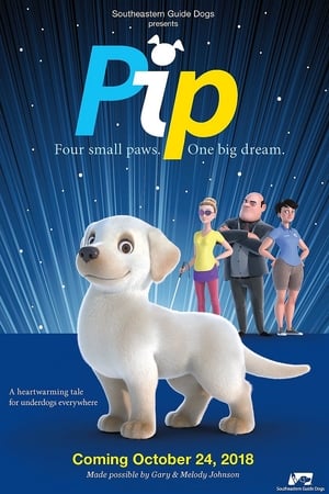 导盲犬小P