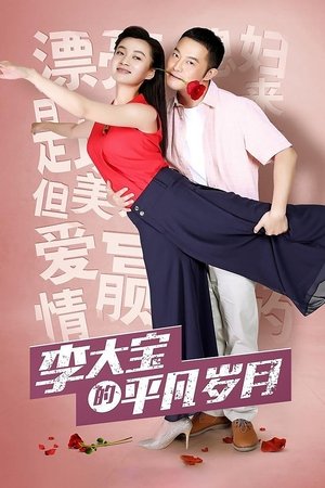 李大宝的平凡岁月