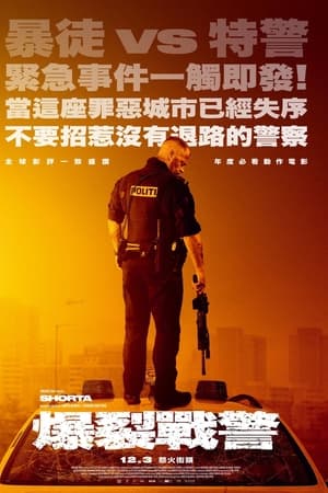 肖塔