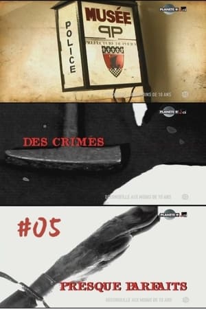 Des crimes presque parfaits第5季