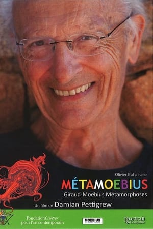 MetaMoebius