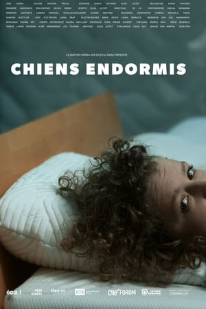 Chiens endormis