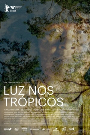 Luz nos Trópicos