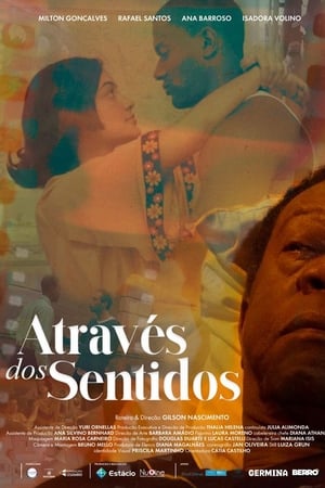 Através dos Sentidos