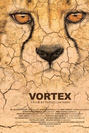 Vortex