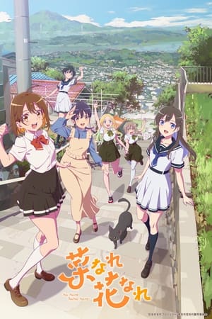 亦叶亦花