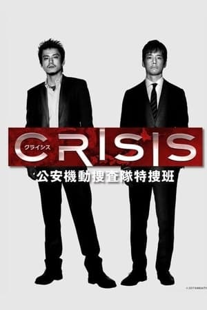 CRISIS 公安机动搜查队特搜组