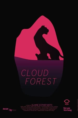 Cloud Forest