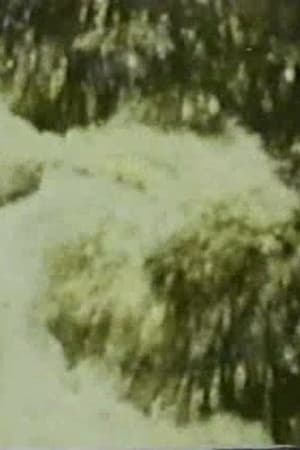 Song 3
