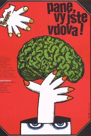 „Pane, vy jste vdova!“