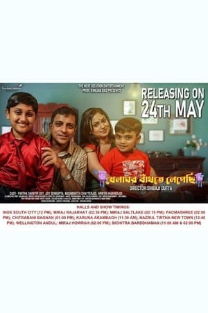 খেলাঘর বাঁধতে লেগেছি