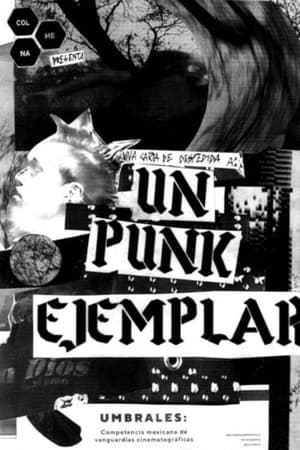 Un punk ejemplar
