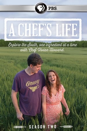A Chef's Life第2季