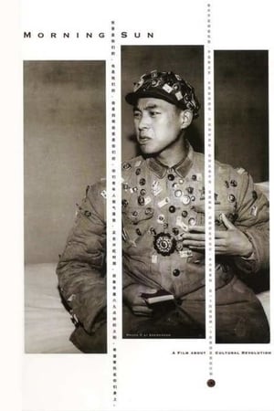 八九点钟的太阳