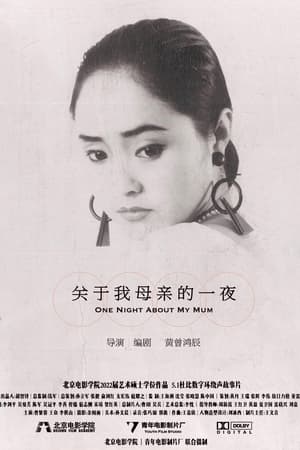 关于我母亲的一夜