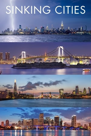 沉没中的城市