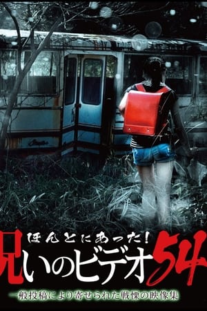 ほんとにあった! 呪いのビデオ 54
