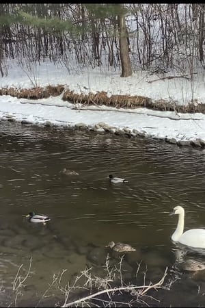 a moment of recovery