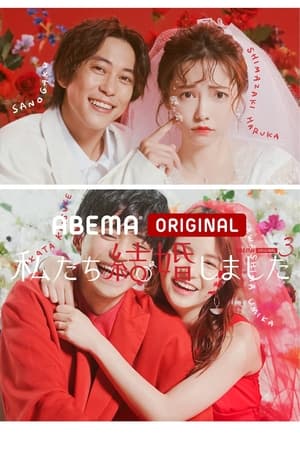 我们结婚了第 3 季