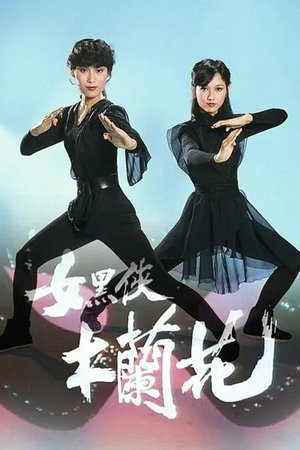 女黑侠木兰花