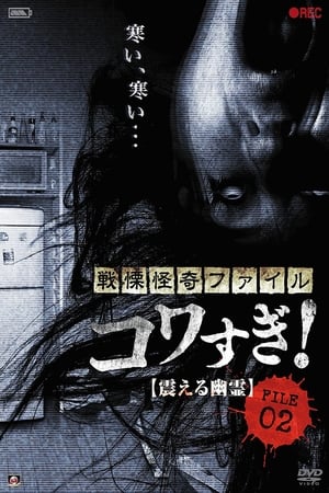 战栗怪奇：惊吓! FILE-02 震撼幽灵