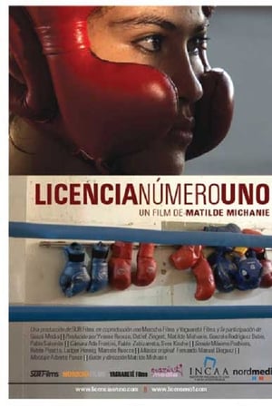Licencia nº 1