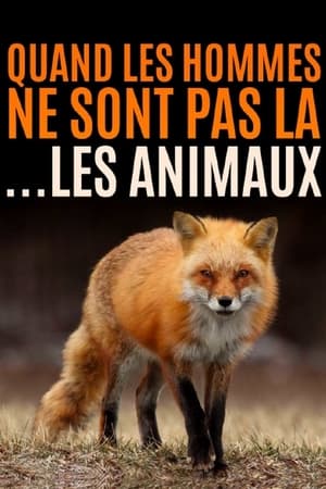 Quand l’homme n’est pas là... les animaux dansent !