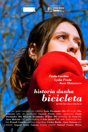 Historia dunha bicicleta (sen aire nas rodas e chea de po)