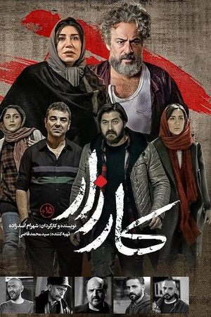 کارزار