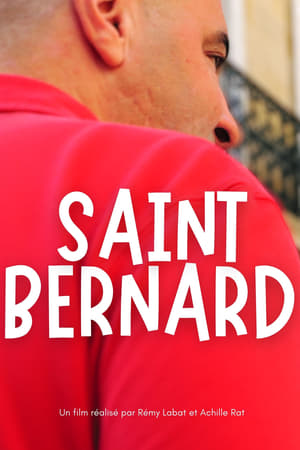 Saint Bernard