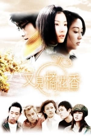 又见橘花香