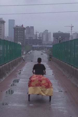 轮圈