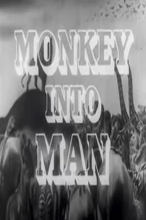 Monkey Into Man