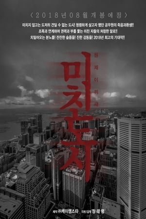 미친도시