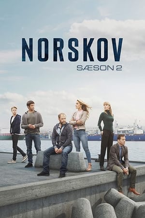 Norskov第2季