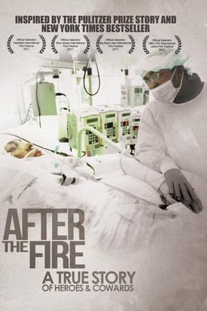 After the Fire