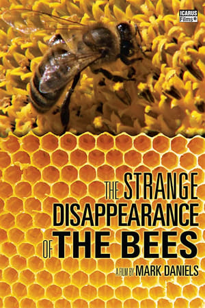 Le Mystère de la disparition des abeilles
