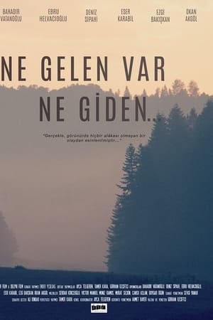 Ne Gelen Var Ne Giden...