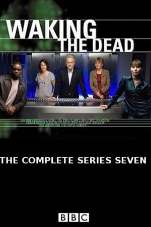 Waking the Dead第7季