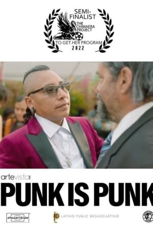 Punk Is Punk