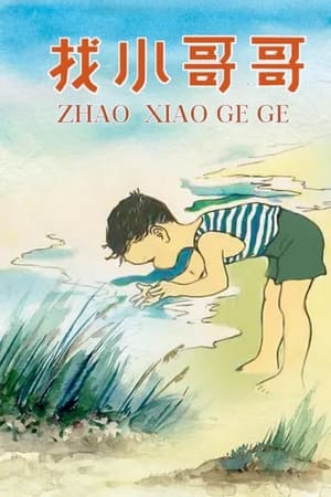 找小哥哥