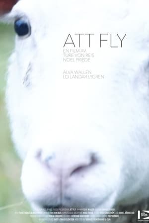 Att fly