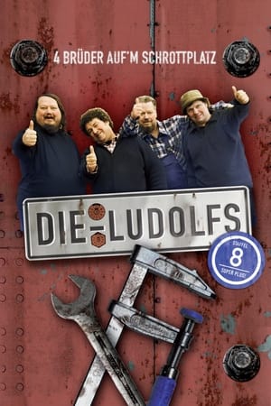 Die Ludolfs – 4 Brüder auf'm Schrottplatz第8季