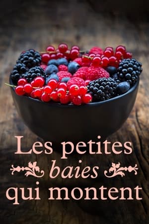 Les petites baies qui montent