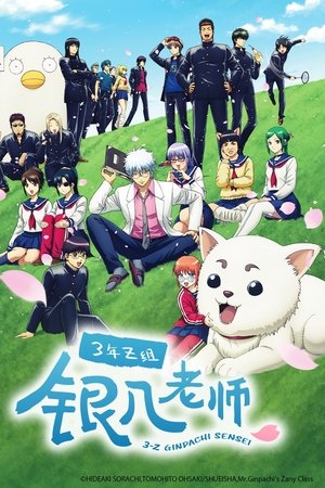 3年Z班银八老师