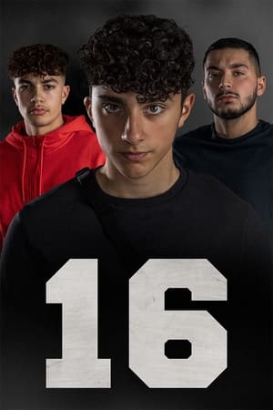 17第3季