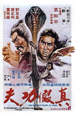 真假功夫
