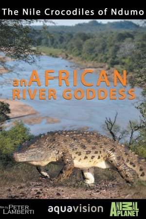River Dragons of Ndumo