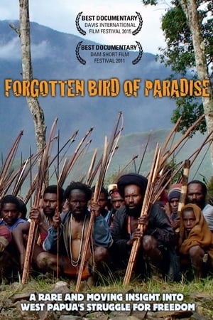 Forgotten Bird of Paradise
